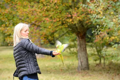 DSC_0503 (Large).JPG